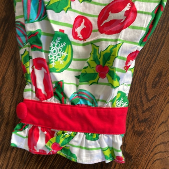 Sage & Lilly Christmas Outfit NWT - Picture 2 of 8